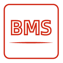Advanced BMS with Real-Time Monitoring